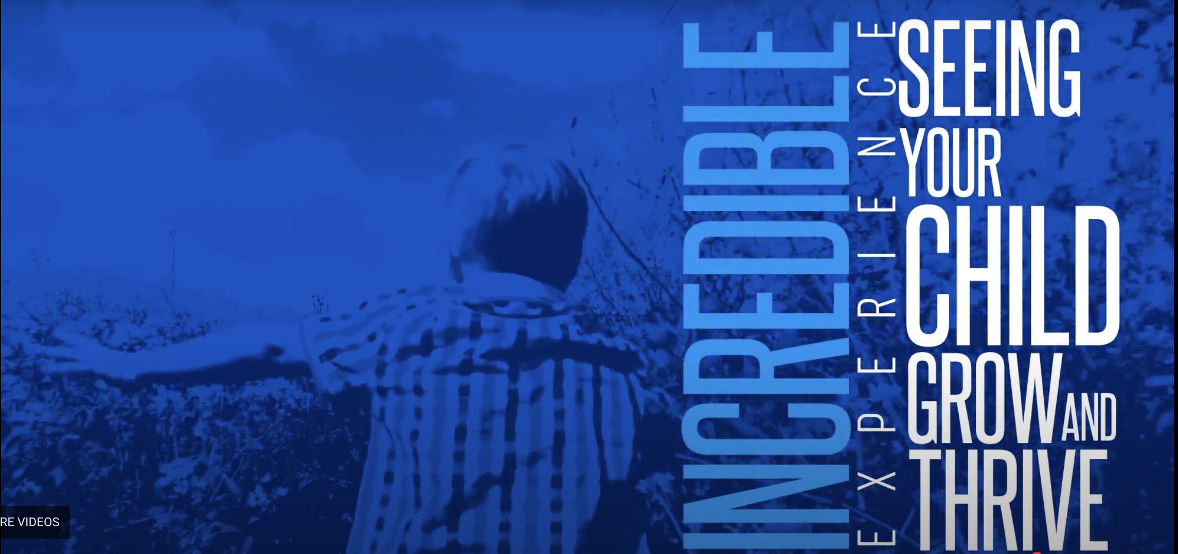 portfolio item photo