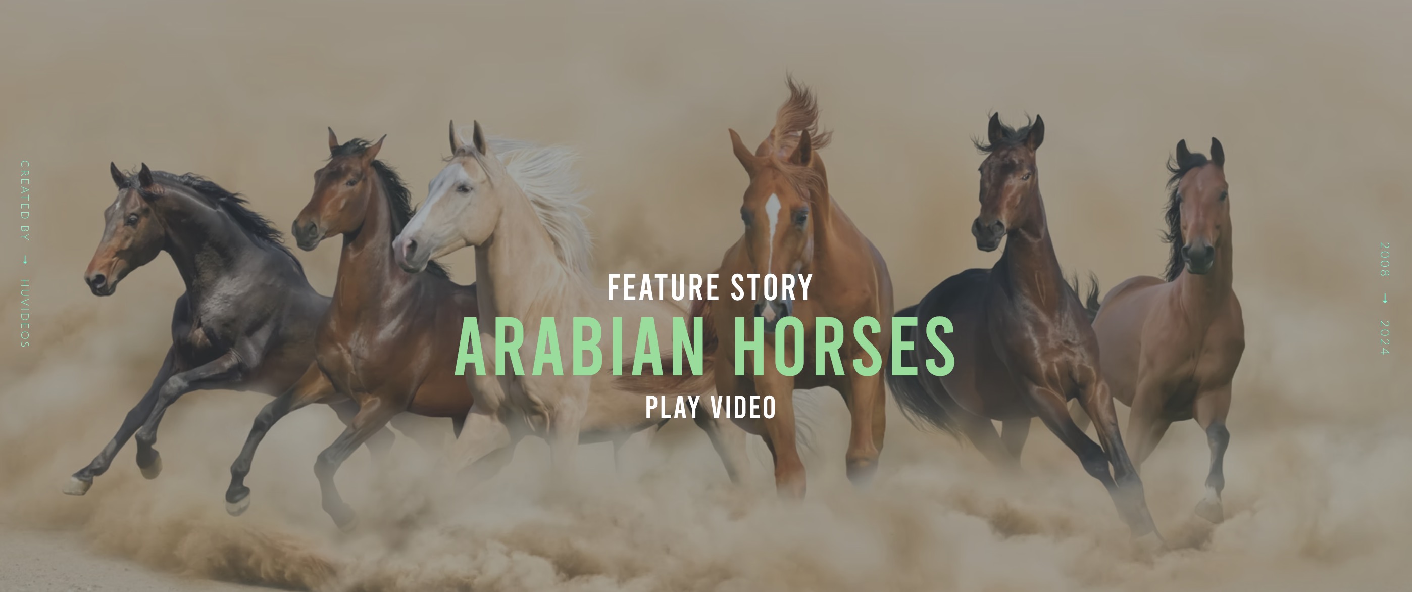 portfolio item photo