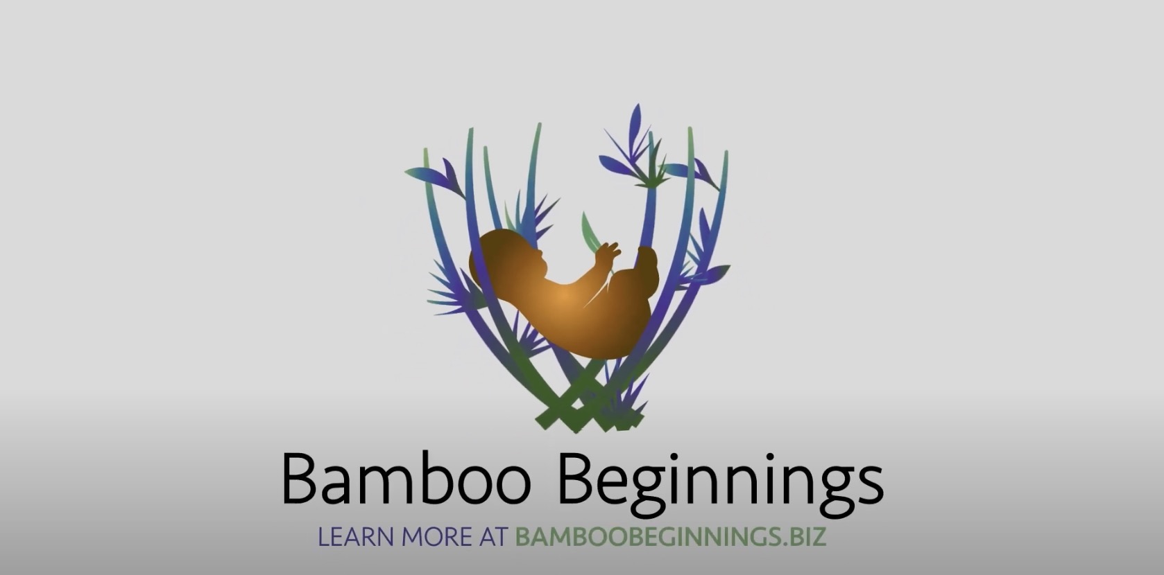 Bamboo Beginnings